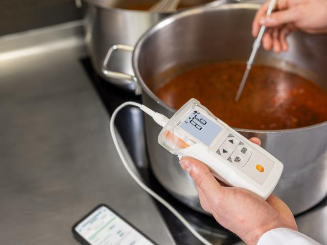 Testo 110 Food (inkl. topsafe) Universal-Temperaturmåleinstrument med App forbindelse