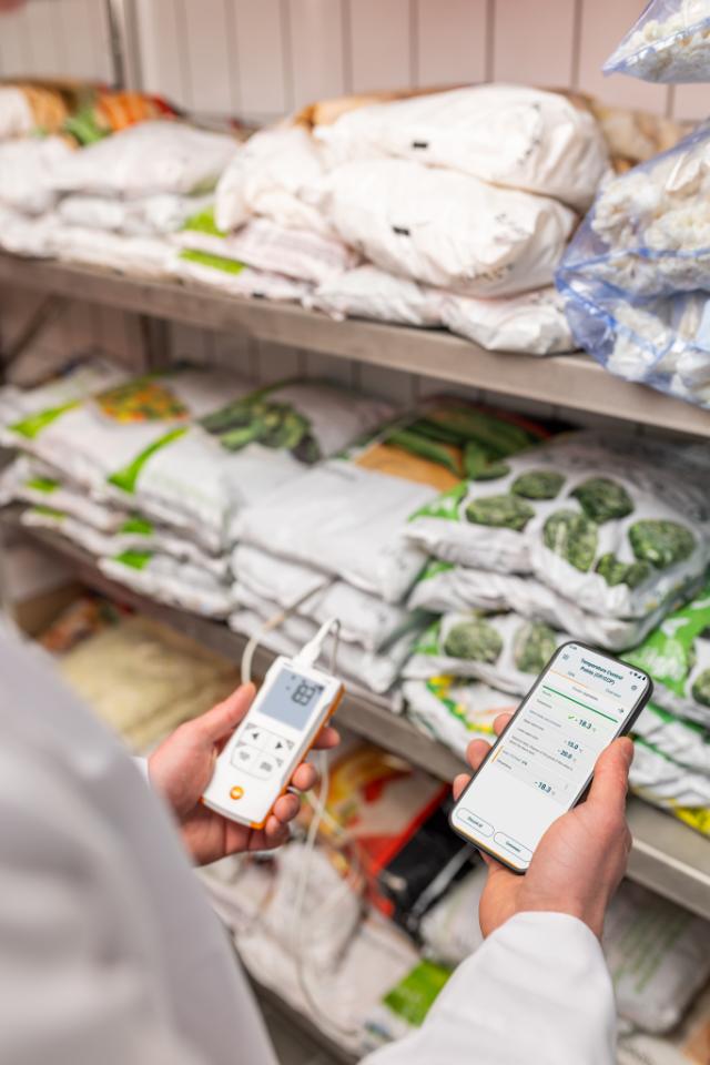 Testo 110 Food (inkl. topsafe) Universal-Temperaturmåleinstrument med App forbindelse