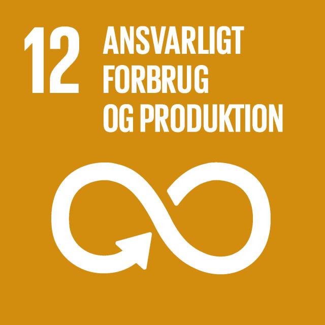 FNS verdensmål nr 12