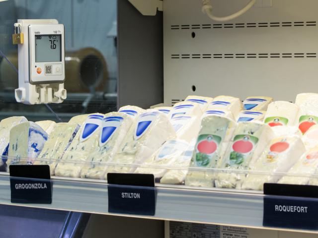 Testo 162 T1 datalogger m/display og intern temp.sensor