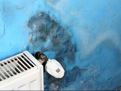 Fugt- og skimmelsvampkursus